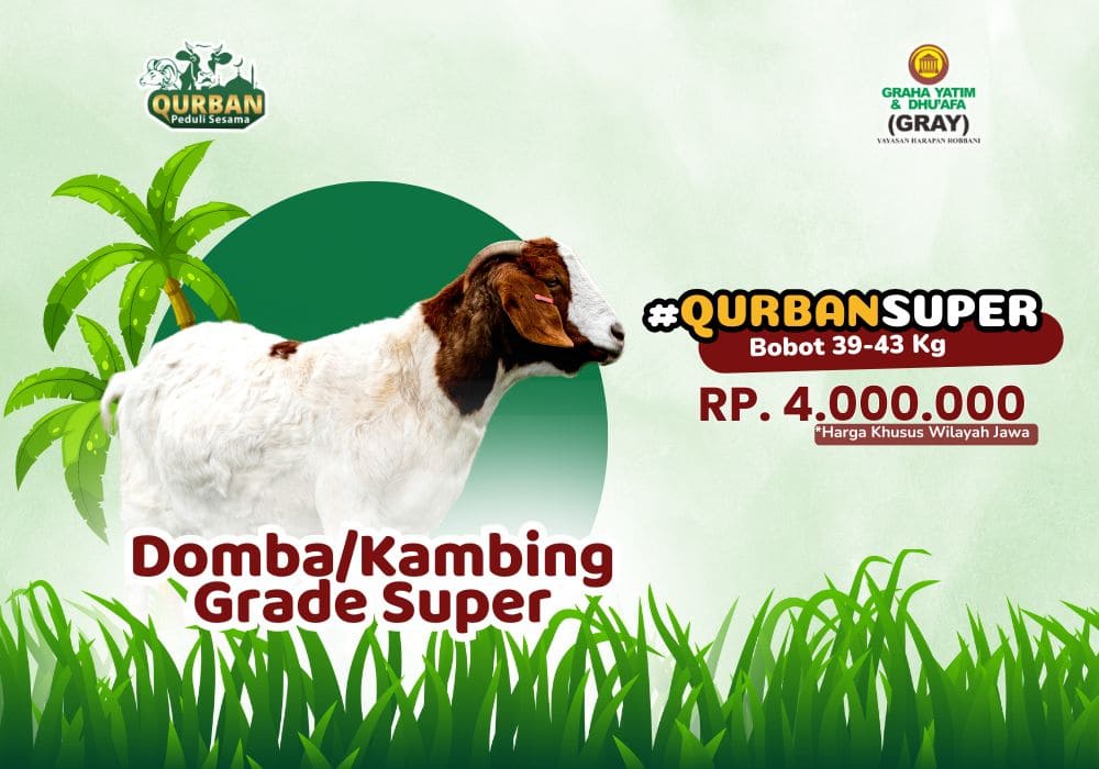 Foto Domba/Kambing Grade Super