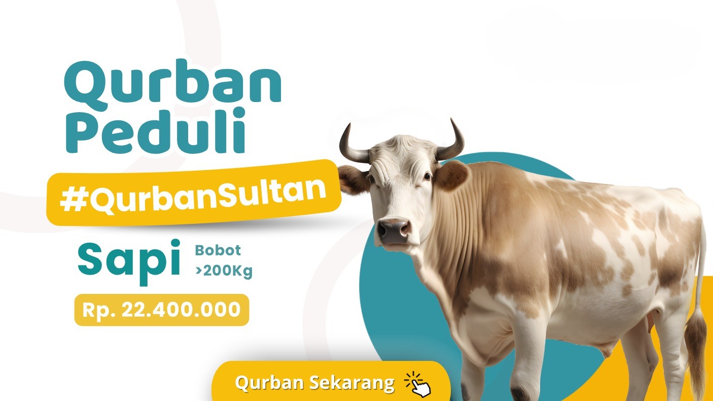 Foto Qurban Sapi