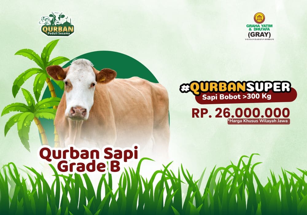 Foto Qurban Sapi Grade B