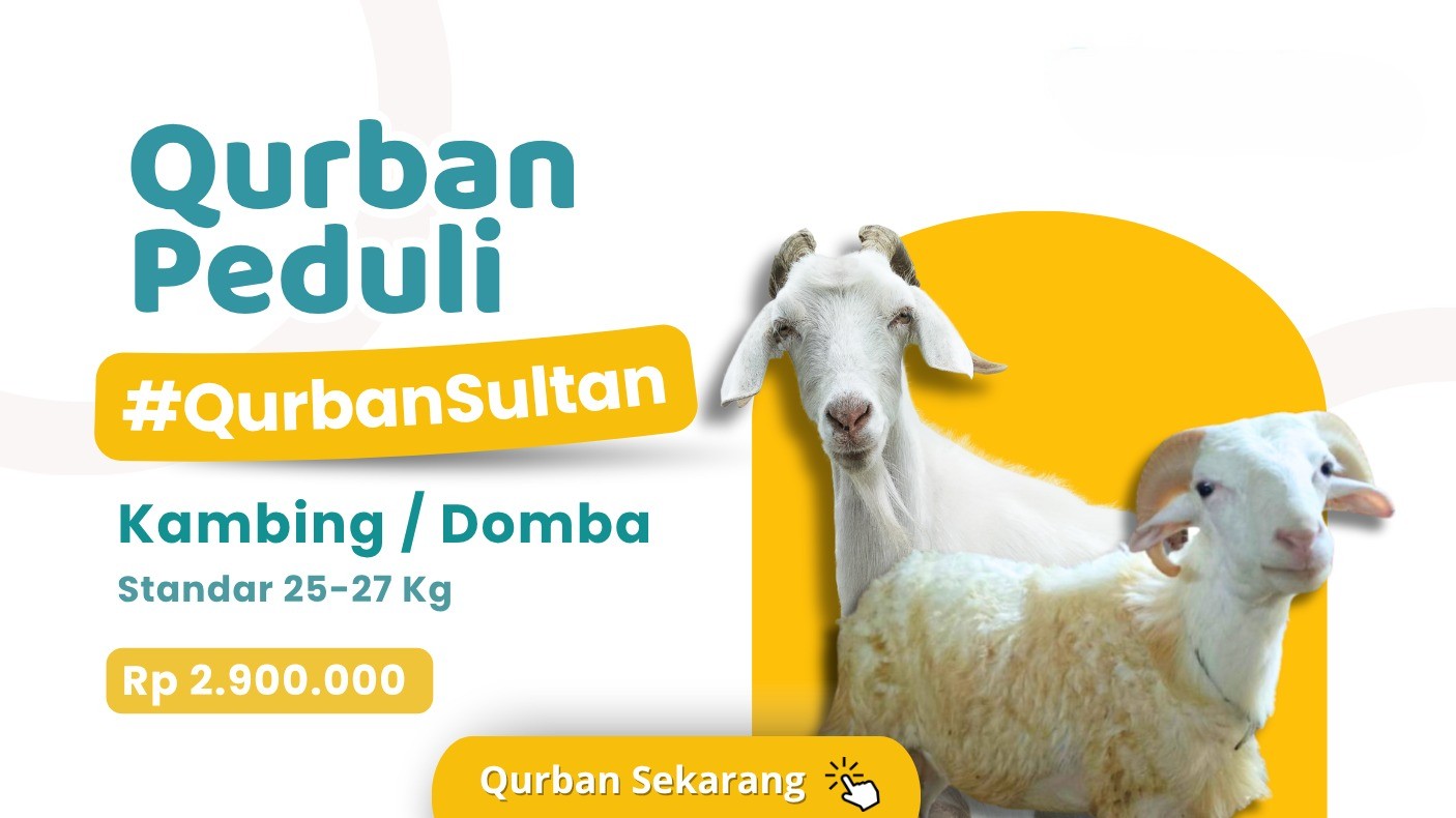 Foto Domba/Kambing Standar