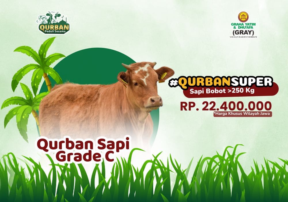 Foto Qurban Sapi Grade C