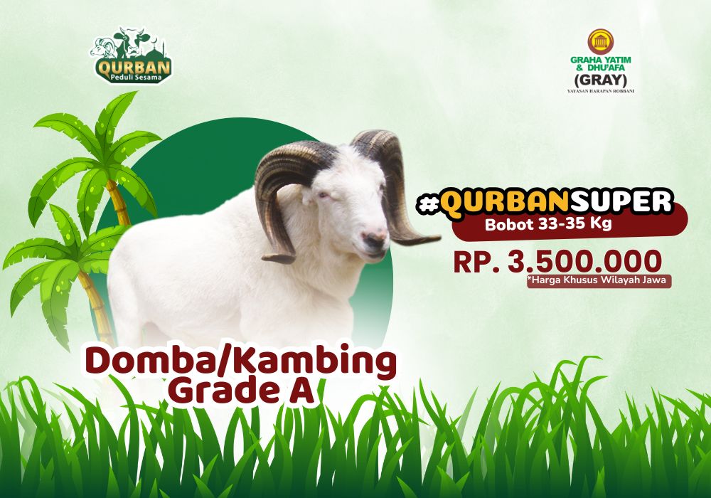 Foto Domba/Kambing Grade A