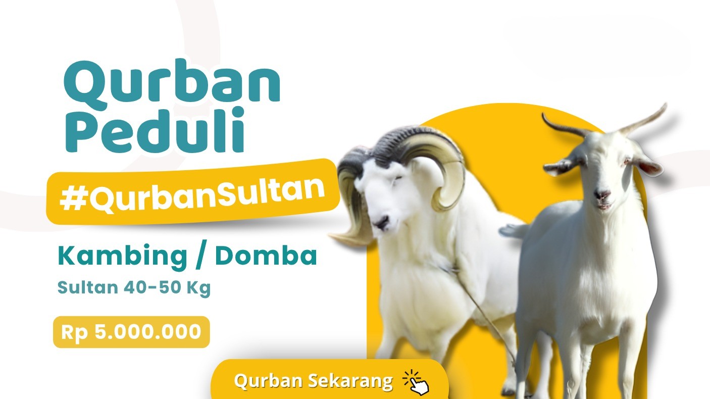 Foto Domba/Kambing Sultan