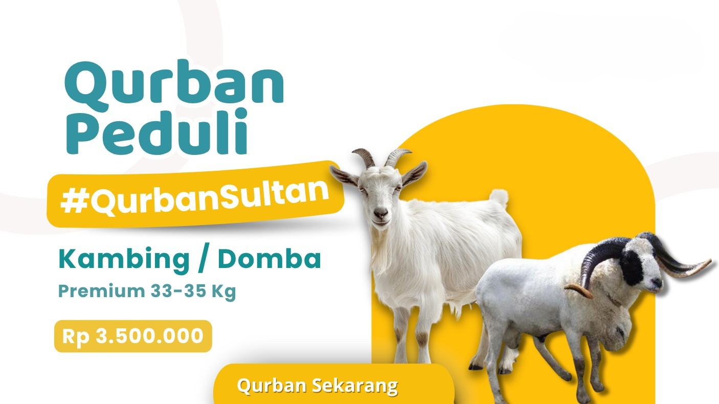 Foto Domba/Kambing Premium